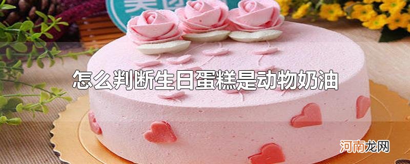 怎么判断生日蛋糕是动物奶油