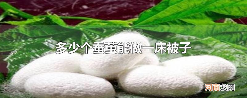 多少个蚕茧能做一床被子