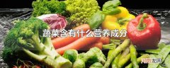 蔬菜含有什么营养成分