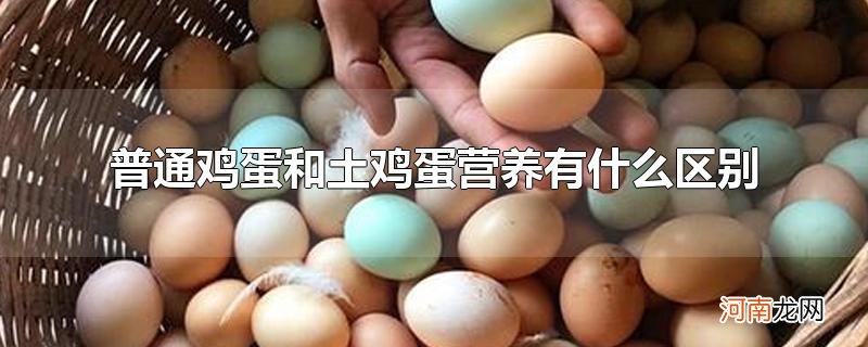 普通鸡蛋和土鸡蛋营养有什么区别