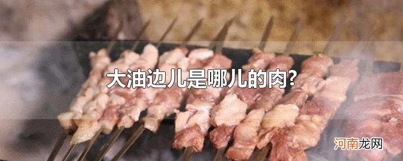 大油边儿是哪儿的肉?