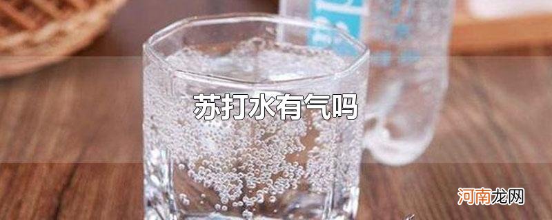 苏打水有气吗