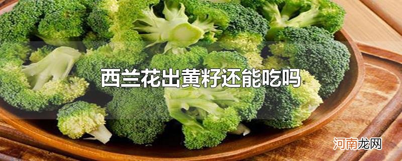 西兰花出黄籽还能吃吗