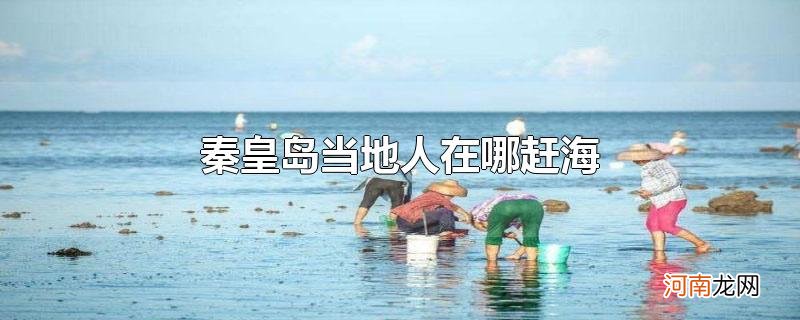 秦皇岛当地人在哪赶海