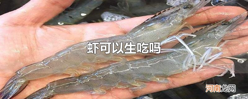 虾可以生吃吗