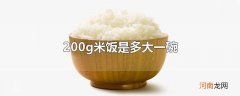 200g米饭是多大一碗