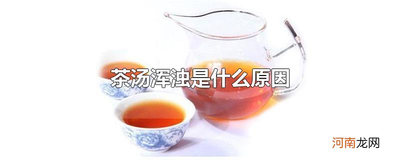 茶汤浑浊是什么原因