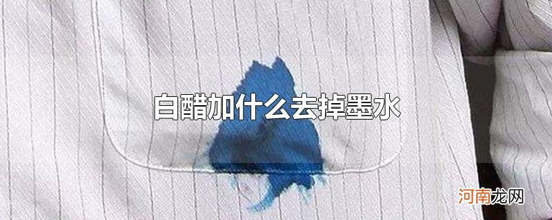 白醋加什么去掉墨水