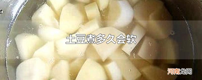 土豆煮多久会软