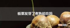 板栗发芽了煮熟能吃吗