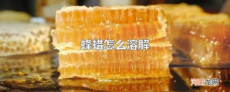 蜂蜡怎么溶解