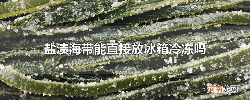 盐渍海带能直接放冰箱冷冻吗