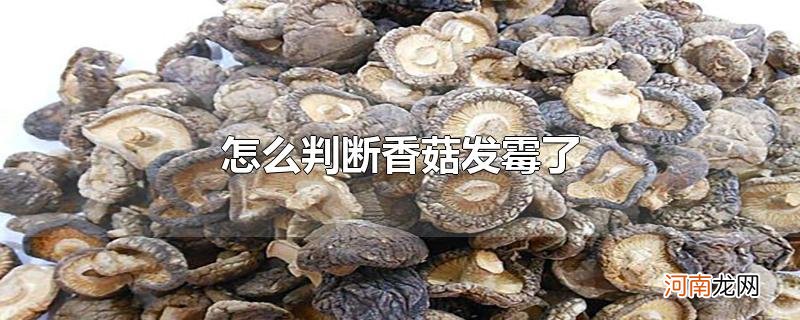 怎么判断香菇发霉了