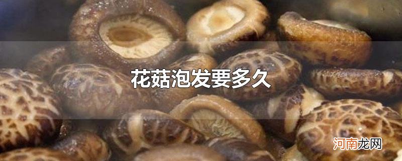 花菇泡发要多久