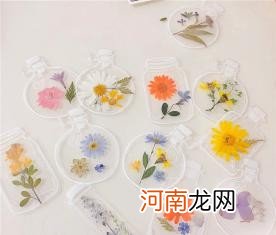 教师节送这8件小礼物实用性强 老师节送什么礼物好