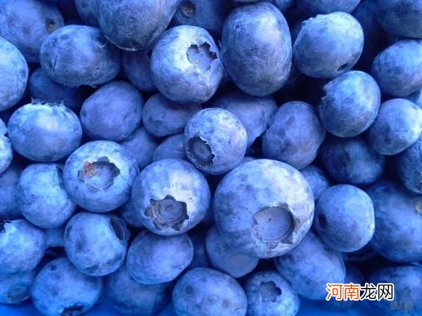 食用蓝莓注意三点 蓝莓的4大营养价值