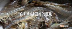 白虾和基围虾的区别