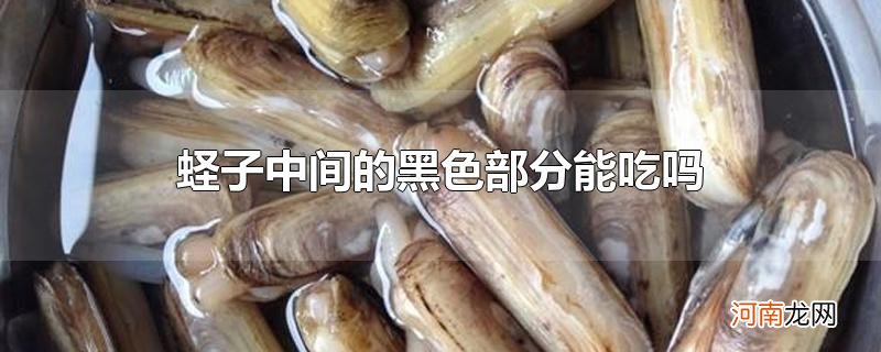 蛏子中间的黑色部分能吃吗