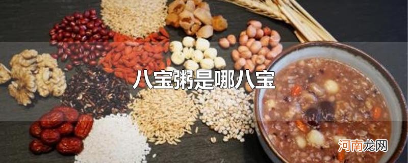 八宝粥是哪八宝