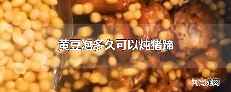 黄豆泡多久可以炖猪蹄