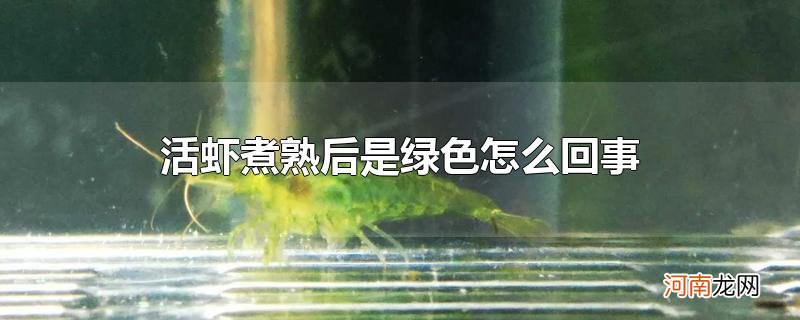 活虾煮熟后是绿色怎么回事