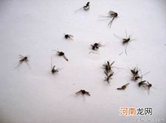 孩子老被蚊子咬 会染上传染病吗