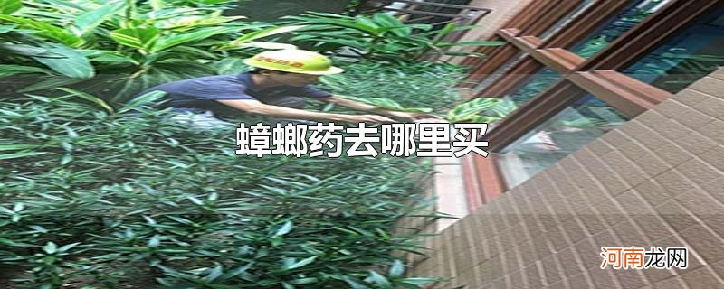 蟑螂药去哪里买