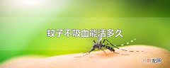 蚊子不吸血能活多久