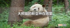 大熊猫的新亚种在哪里