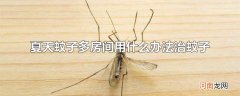 夏天蚊子多房间用什么办法治蚊子