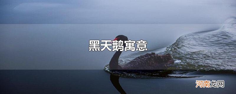 黑天鹅寓意