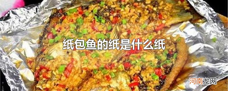 纸包鱼的纸是什么纸