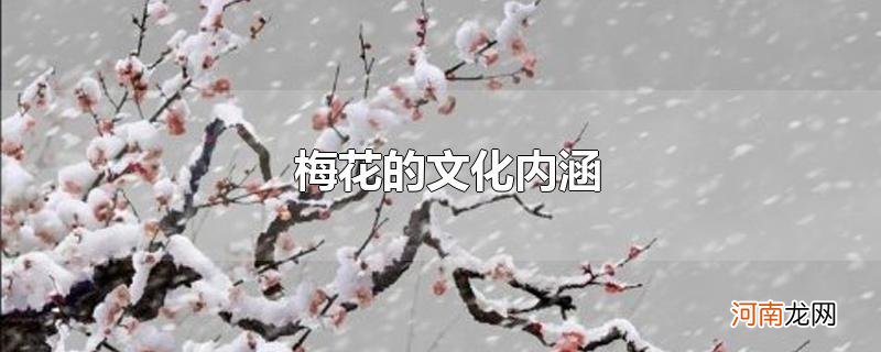 梅花的文化内涵