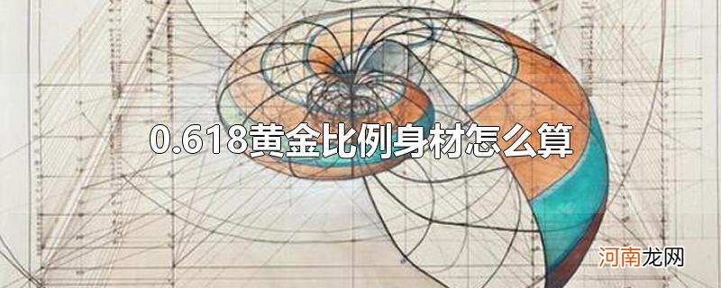 0.618黄金比例身材怎么算