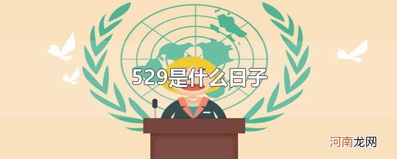 529是什么日子