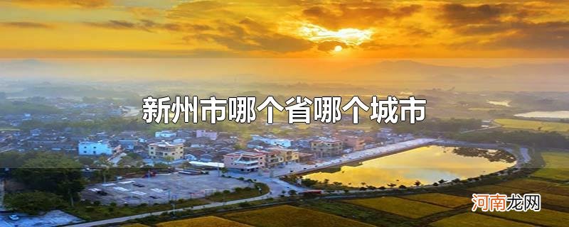 新州市哪个省哪个城市