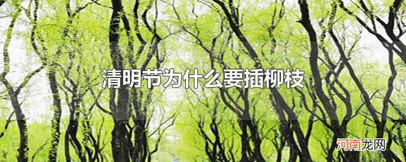 清明节为什么要插柳枝