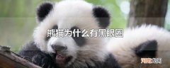 熊猫为什么有黑眼圈
