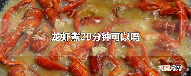 龙虾煮20分钟可以吗