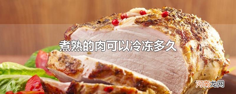 煮熟的肉可以冷冻多久