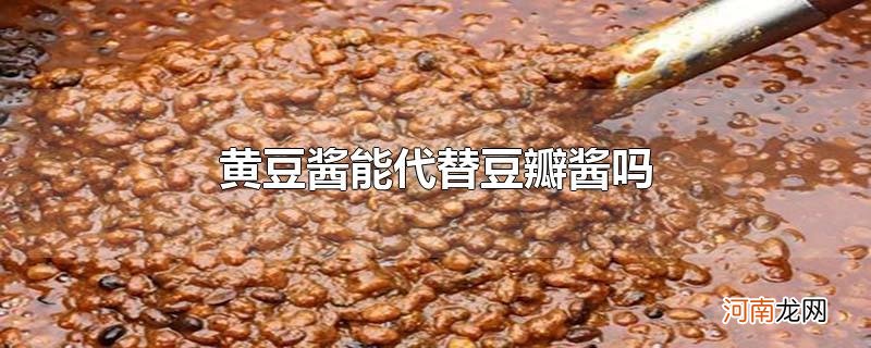 黄豆酱能代替豆瓣酱吗