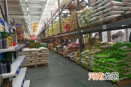 食品批发注册公司怎么取名字 食品批发公司起名大全免费