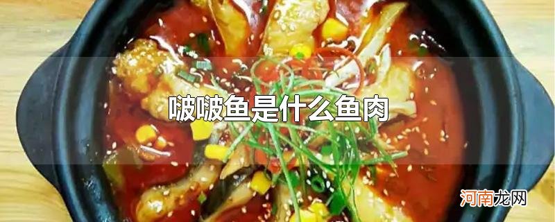 啵啵鱼是什么鱼肉