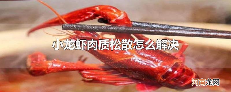 小龙虾肉质松散怎么解决