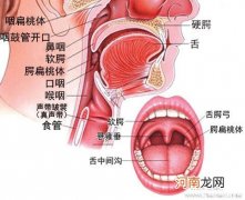 幼儿急性扁桃腺炎如何护理