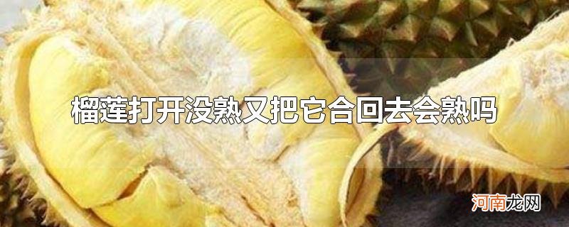 榴莲打开没熟又把它合回去会熟吗