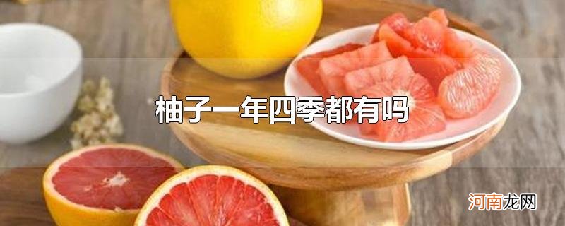 柚子一年四季都有吗