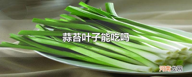 蒜苔叶子能吃吗