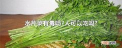 水芹菜有毒吗?人可以吃吗?