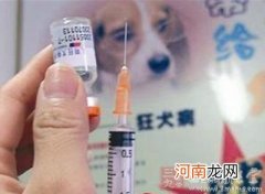 小孩打狂犬疫苗的注意事项